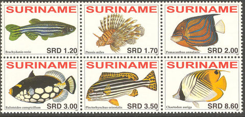 Suriname2007-6