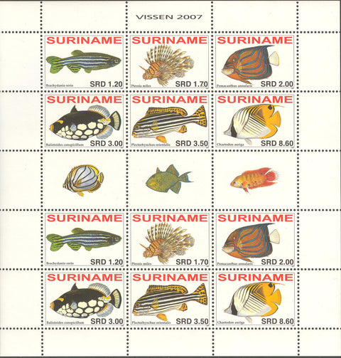 Suriname2007-6ms6