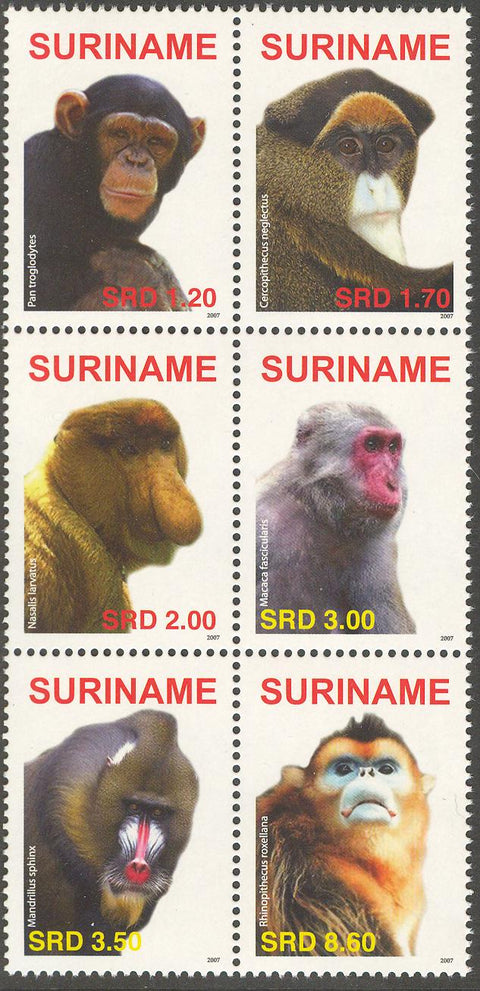 Suriname2007-8