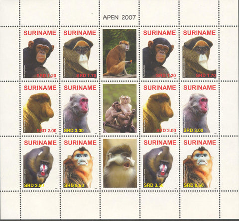 Suriname2007-8ms8