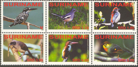 Suriname2008_11