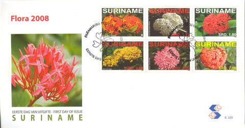 Suriname2008_14E320
