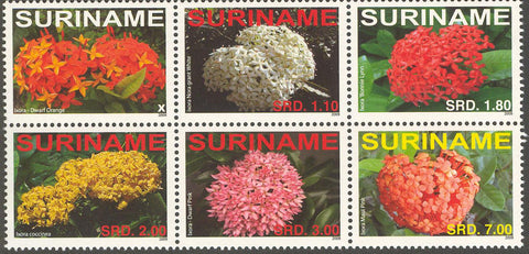 Suriname2008_14
