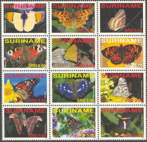 Suriname2008-1
