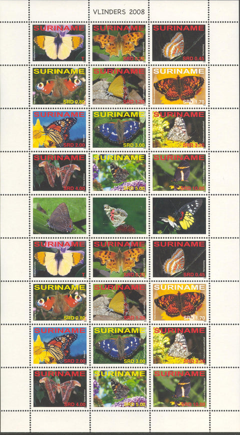 Suriname2008-1ms1