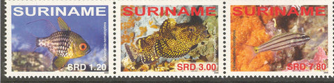 Suriname2008-2