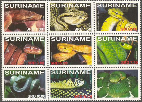Suriname2008-7