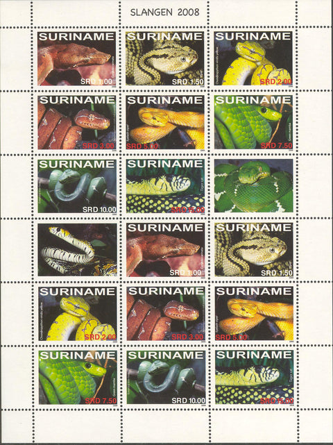 Suriname2008-7ms7