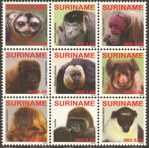 Suriname2009_10