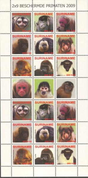Suriname2009_10ms7