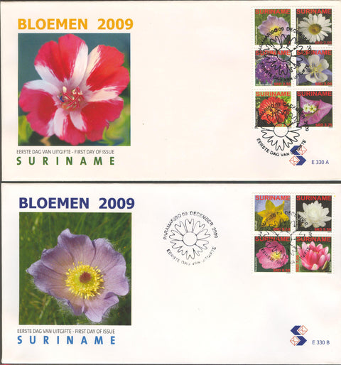 Suriname2009_11FDC330ab.