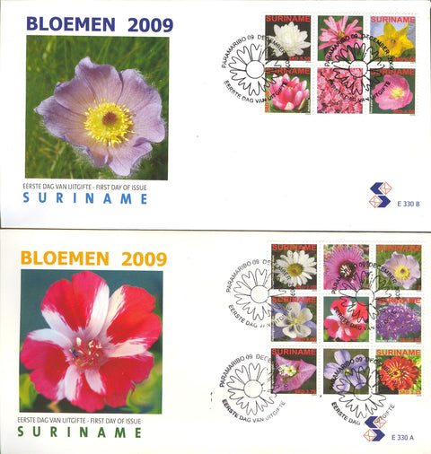 Suriname2009_11FDC330abBP
