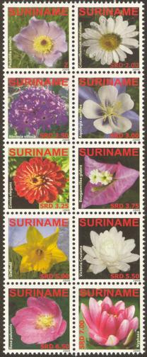 Suriname2009_11