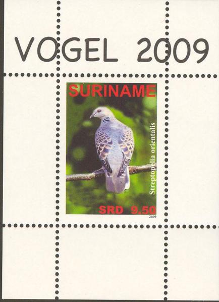 Suriname2009-1