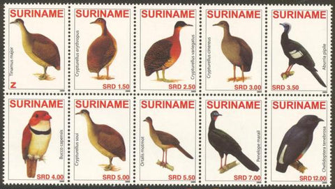 Suriname2009-3