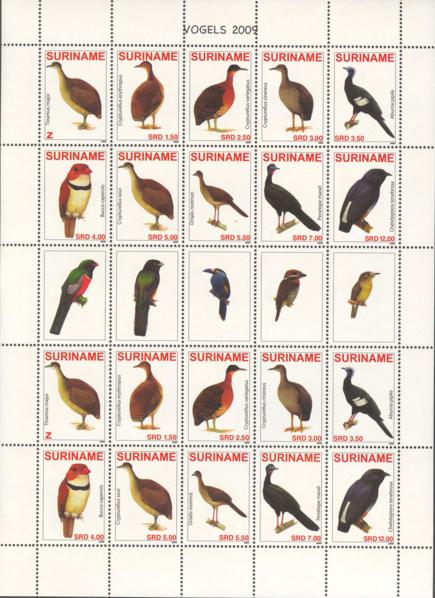 Suriname2009-3ms2