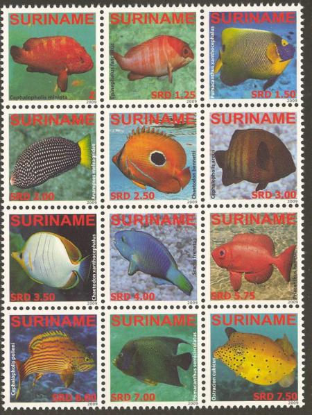 Suriname2009-6