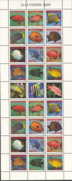 Suriname2009-6ms5