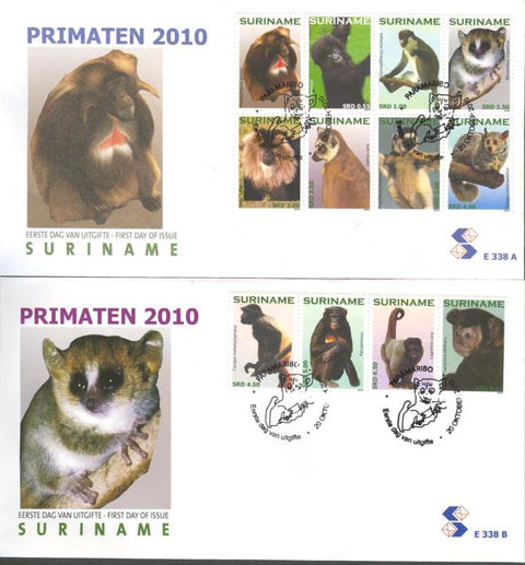 Suriname2010_10E338AB
