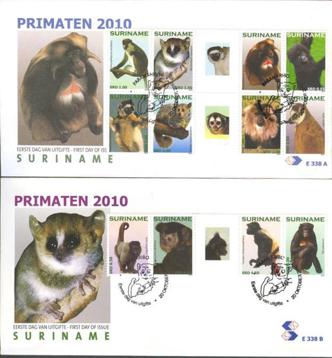 Suriname2010_10E338ABBP