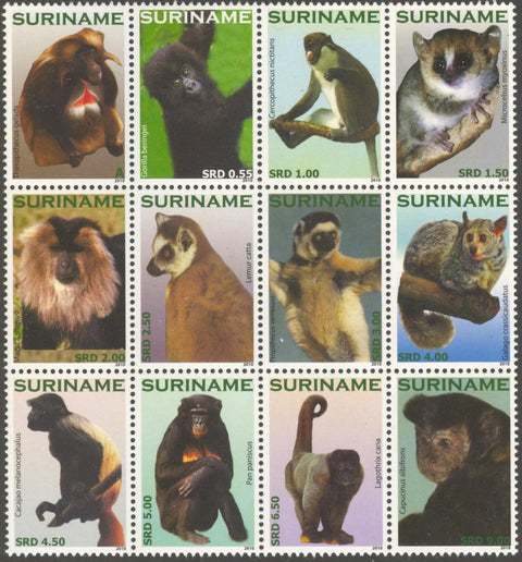 Suriname2010_10