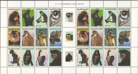 Suriname2010_10ms7