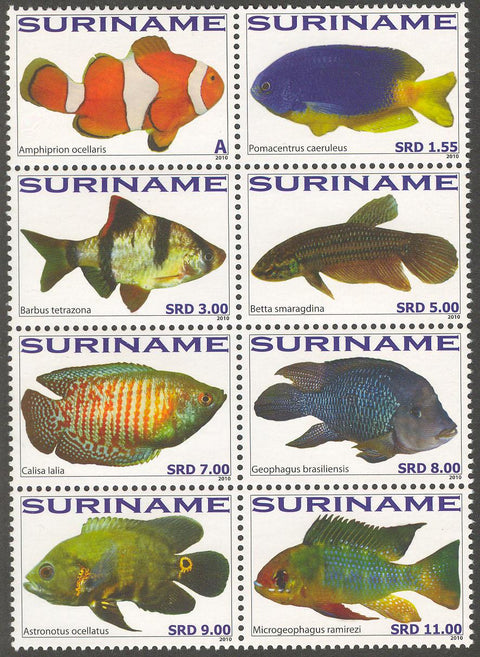 Suriname2010_11