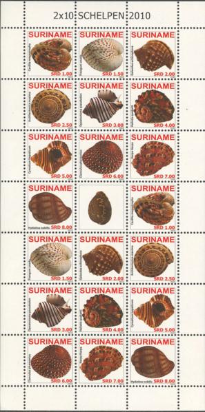 Suriname2010-1ms1