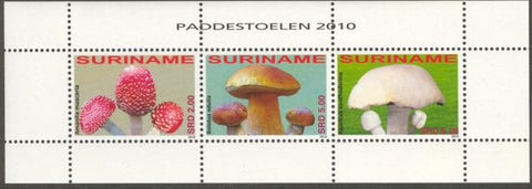 Suriname2010-2