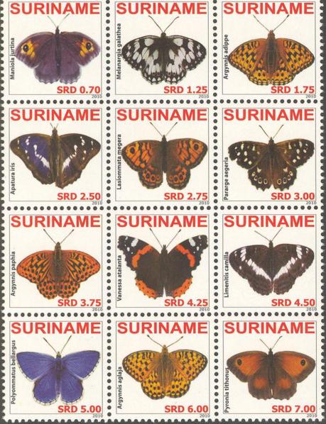Suriname2010-4