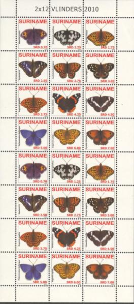 Suriname2010-4ms3