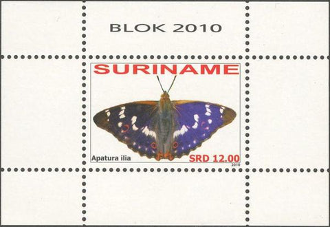 Suriname2010-5