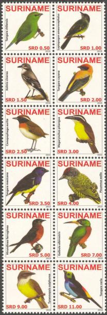 Suriname2010-6