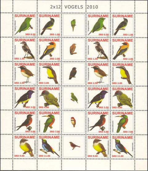 Suriname2010-6ms4