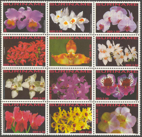 Suriname2010-7