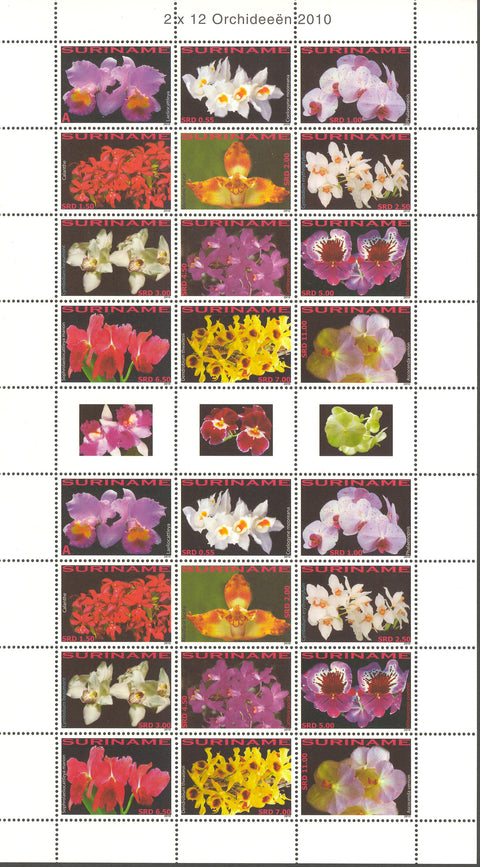 Suriname2010-7ms
