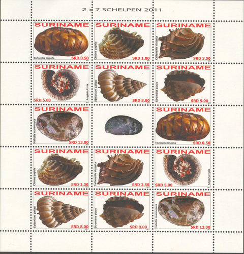 Suriname2011-1ms1