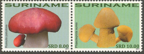 Suriname2011-2