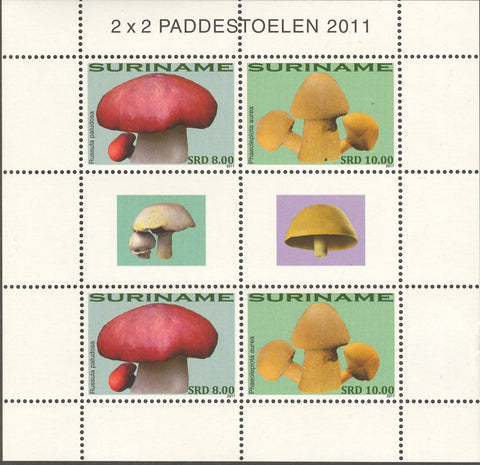Suriname2011-2ms2