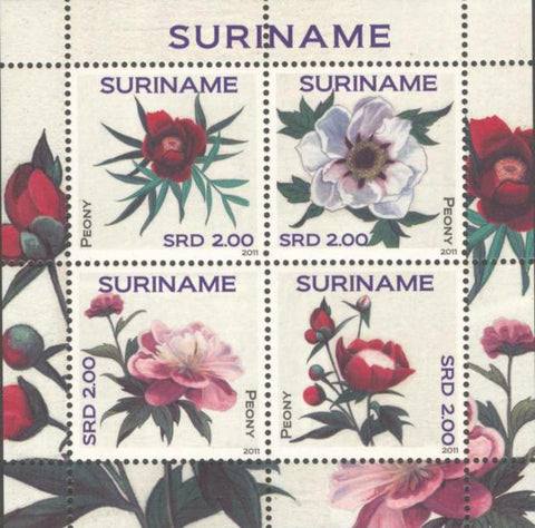 Suriname2011-5