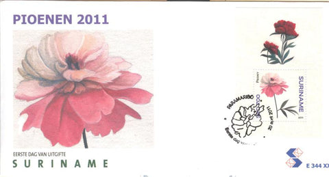 Suriname2011-6E344xx
