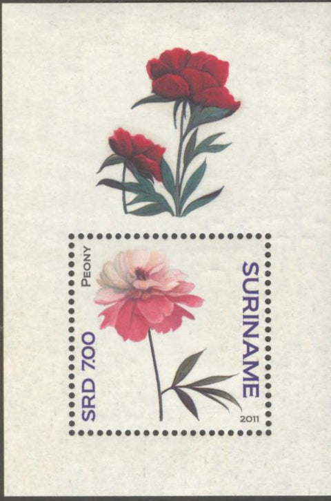 Suriname2011-6