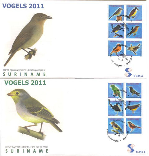 Suriname2011-7E345ab