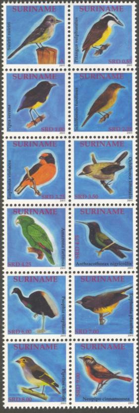 Suriname2011-7