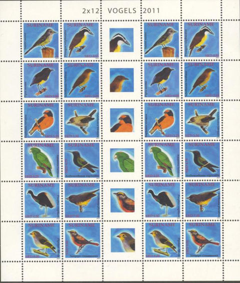 Suriname2011-7ms5