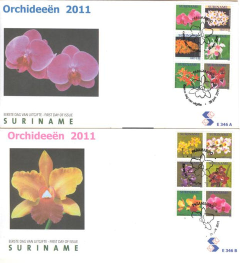 Suriname2011-8E346ab