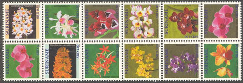 Suriname2011-8