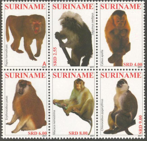 Suriname2011-9