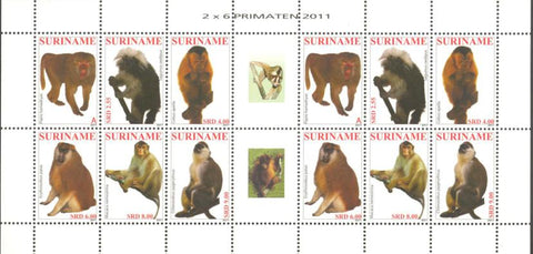 Suriname2011-9ms