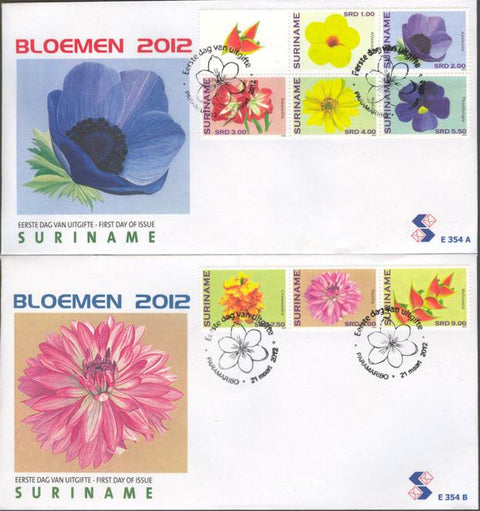 Suriname2012-4E354ab